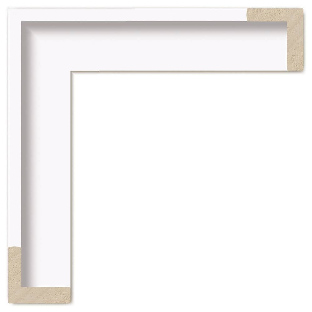 Originalfoto des Rahmenprofils G466-211, Weiss matt.