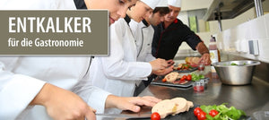 Schnell-Entkalker (1 Liter)