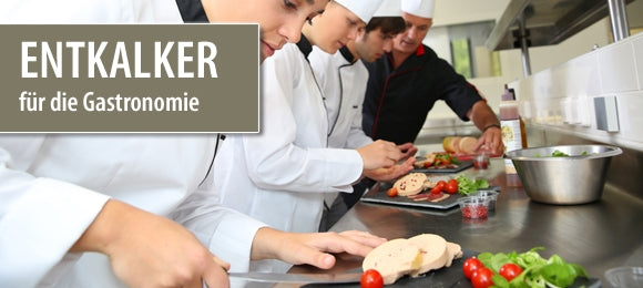 Schnell-Entkalker (1 Liter)