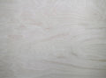 Holzmaltafel 60x80 cm (2 Stück)