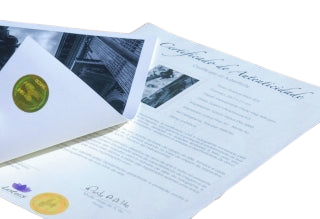 Echtheitszertifikate (25 Blatt + 50 Hologramme) inkl. Registrierung in Künstlerdatenbank