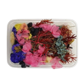 Getrocknete Blumen gemischt (ca. 10 Sorten)