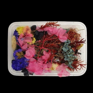 Getrocknete Blumen gemischt (ca. 10 Sorten)